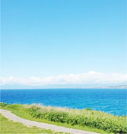 サーモンレンタカーの特徴を象徴する北海道の風景